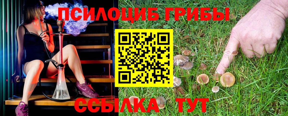 Галлюциногенные грибы ЛСД  Вход с VPN  Галлюциногенные грибы MAGIC MUSHROOMS  Строитель 